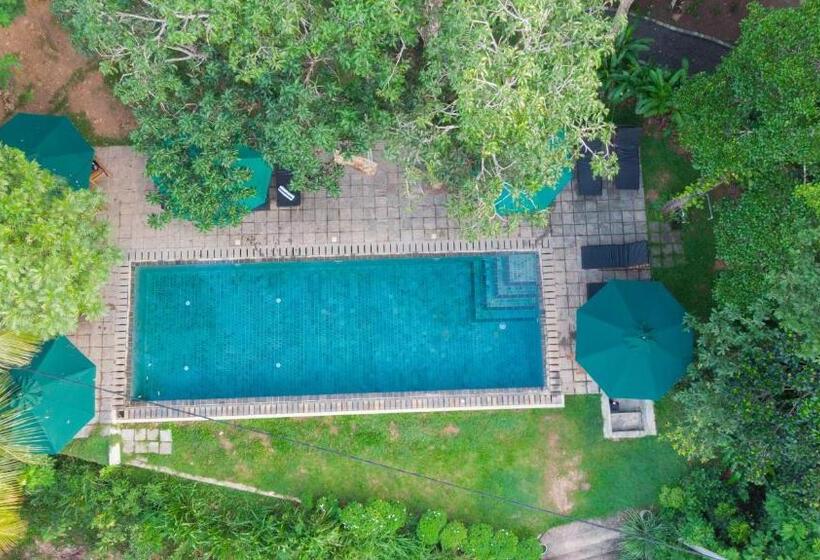 Стандартный Номер Кровать Кинг, Villa Hillcrest