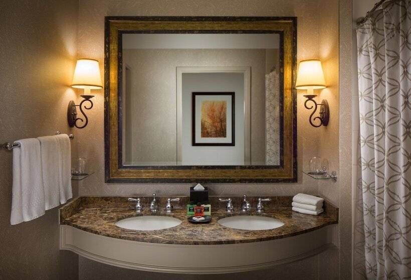 חדר סטודיו סטנדרד, La Cantera Resort & Spa