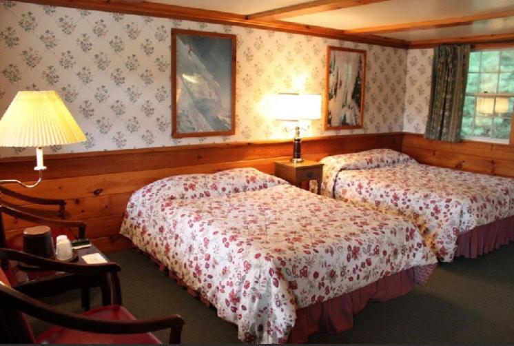 Номер Стандарт, White Trellis Motel