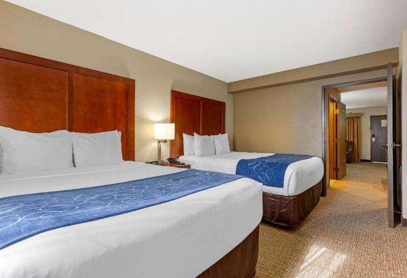 Люкс, Comfort Suites Fredericksburg South