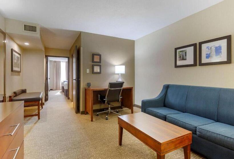 Люкс, Comfort Suites Fredericksburg South