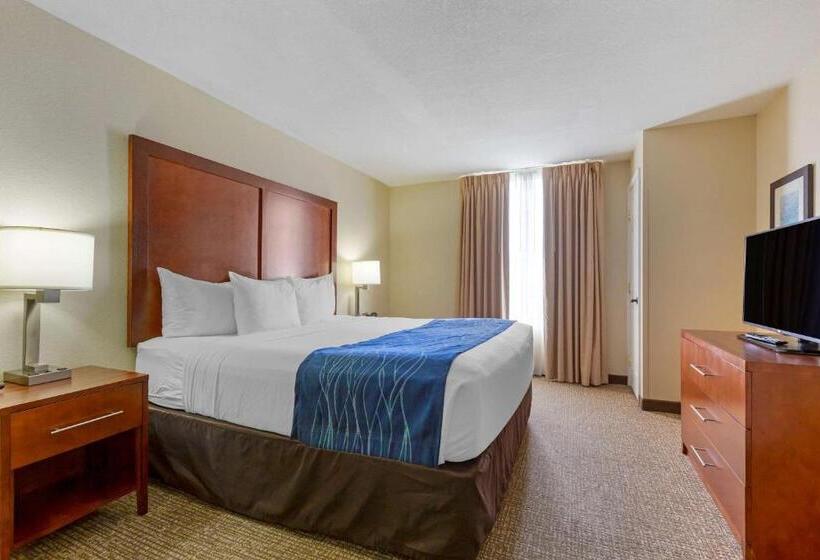 Люкс Кровать Кинг, Comfort Suites Fredericksburg South