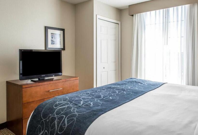 Люкс Адаптированный для Инвалидов, Comfort Suites Fredericksburg South