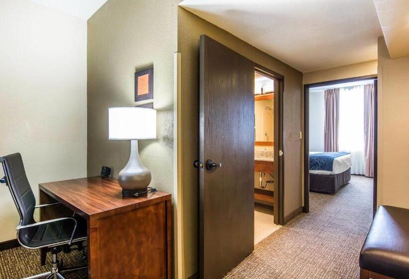 Люкс Адаптированный для Инвалидов, Comfort Suites Fredericksburg South
