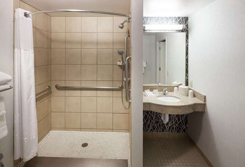 Номер Стандарт, Hilton Orlando Buena Vista Palace   Disney Springs® Area