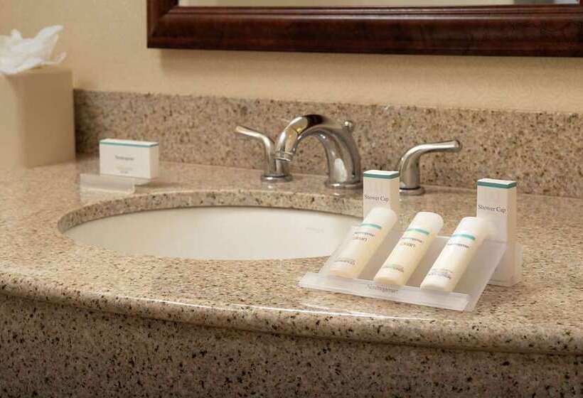 Номер Стандарт, Hilton Orlando Buena Vista Palace   Disney Springs® Area