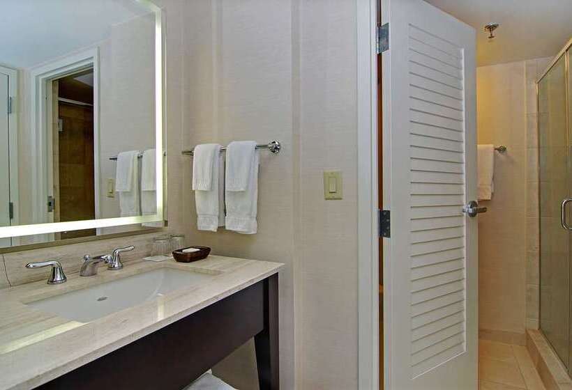Номер Стандартный с Видом, Hilton Orlando Buena Vista Palace   Disney Springs® Area