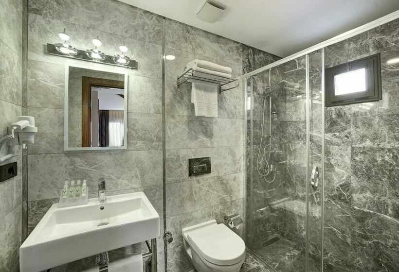 Standard Room, The Fox