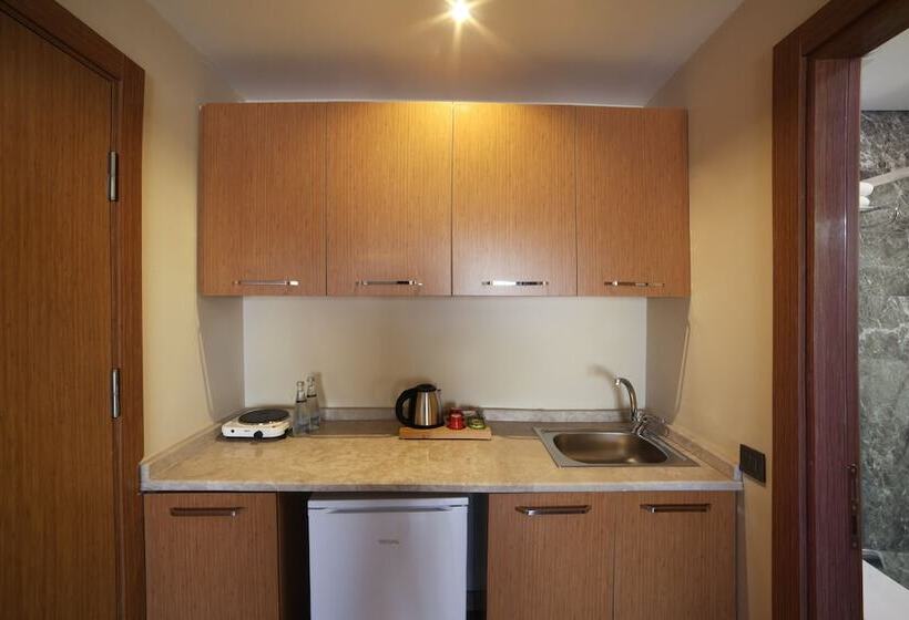 Deluxe Room with Terrace, The Fox