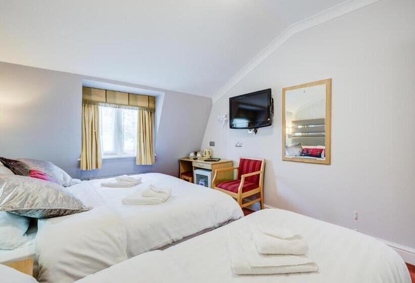 Номер Стандарт Трехместный, Kingswaypark Hotel At Park Avenue