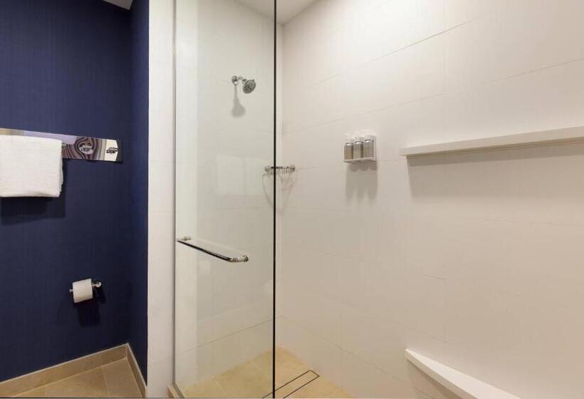 استودیو استاندارد با تخت کینگ, Residence Inn By Marriott Merida