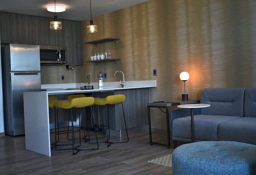 استودیوی استاندارد با تخت دوبل, Residence Inn By Marriott Merida