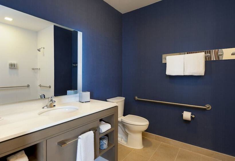 استودیوی استاندارد با تخت دوبل, Residence Inn By Marriott Merida