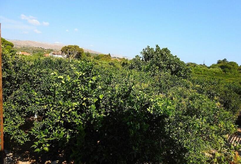 سوییت سوپریور, Mouzaliko Guesthouse Mansion