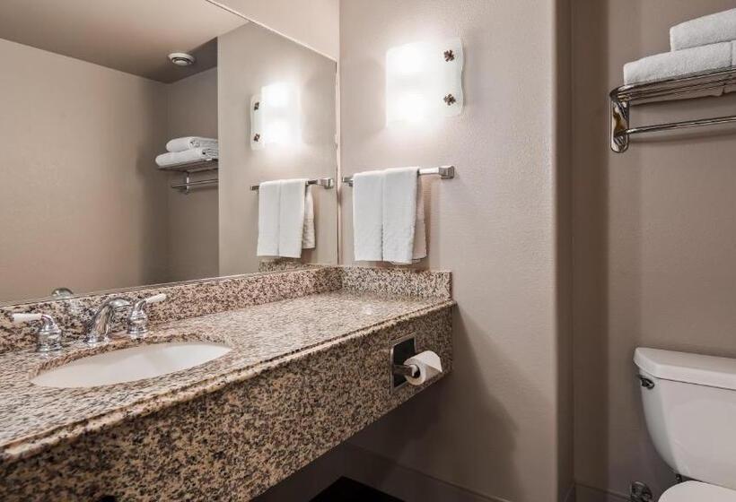 标准间, Best Western Cedar Inn & Suites
