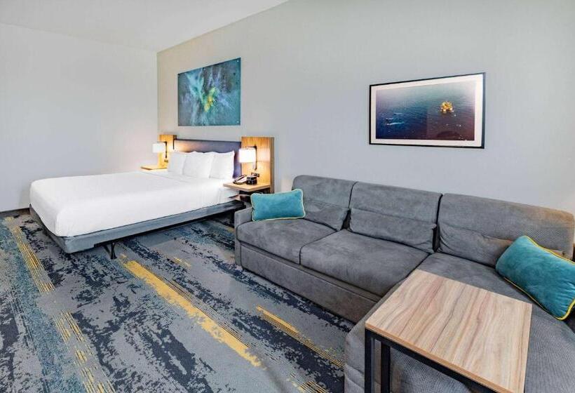 اتاق استاندارد با تخت بزرگ برای معلولان, La Quinta Inn & Suites By Wyndham Texas City I 45