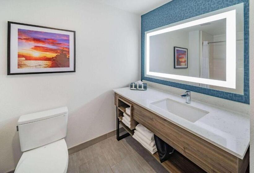 اتاق استاندارد, La Quinta Inn & Suites By Wyndham Texas City I 45