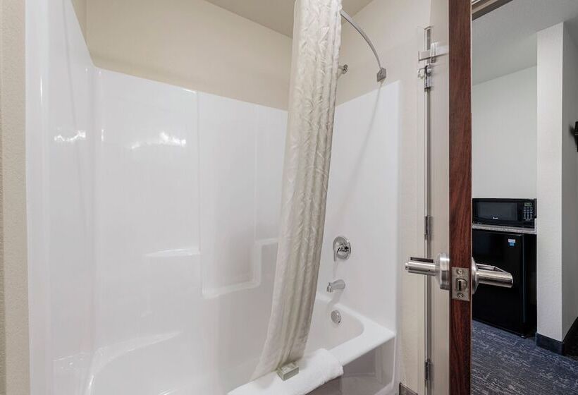 Люкс, Cobblestone Hotel & Suites   Urbana