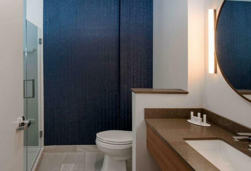 스탠다드 룸 킹사이즈 침대, Fairfield Inn & Suites Shawnee
