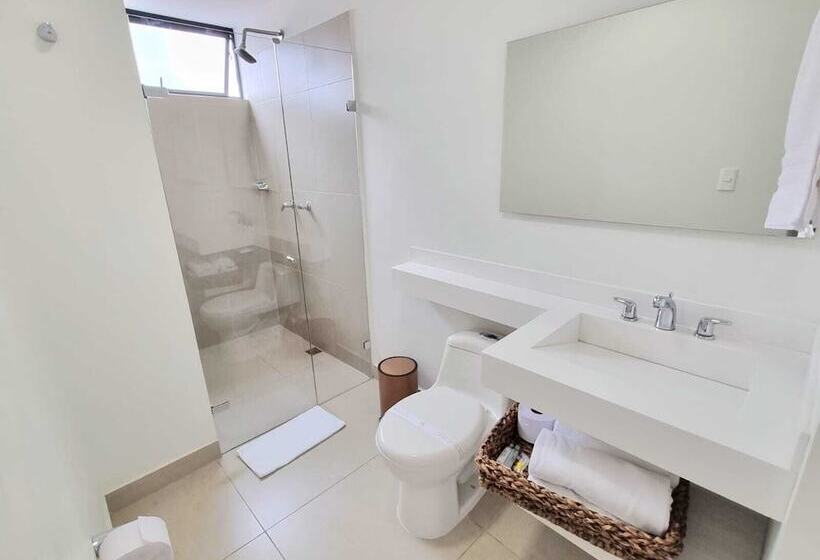 Студия Стандарт, Origen Local Suites