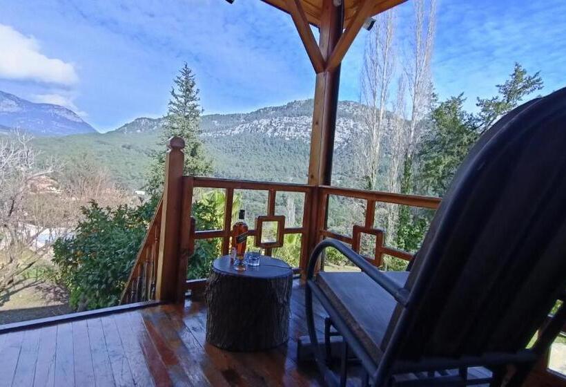 Номер Стандарт, Lycia Nature House