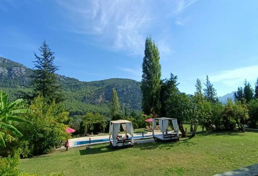 Бунгало Superior, Lycia Nature House