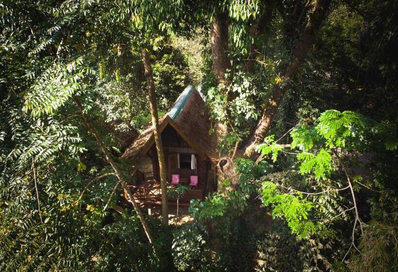 Бунгало Стандарт, Our Jungle House