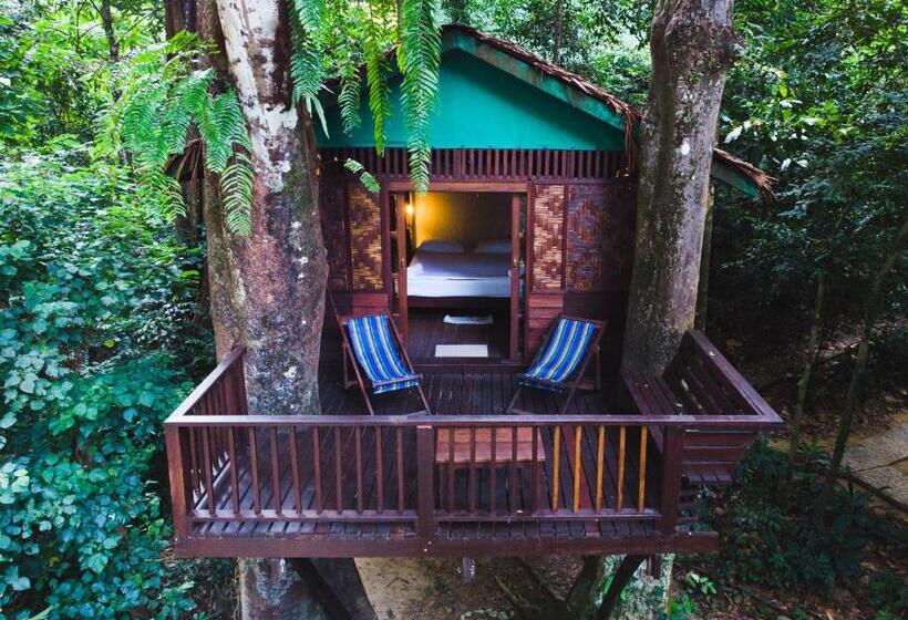 Номер Стандарт, Our Jungle House