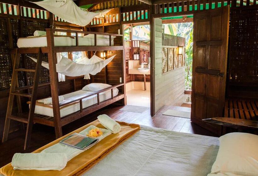 Семейный Номер, Our Jungle House