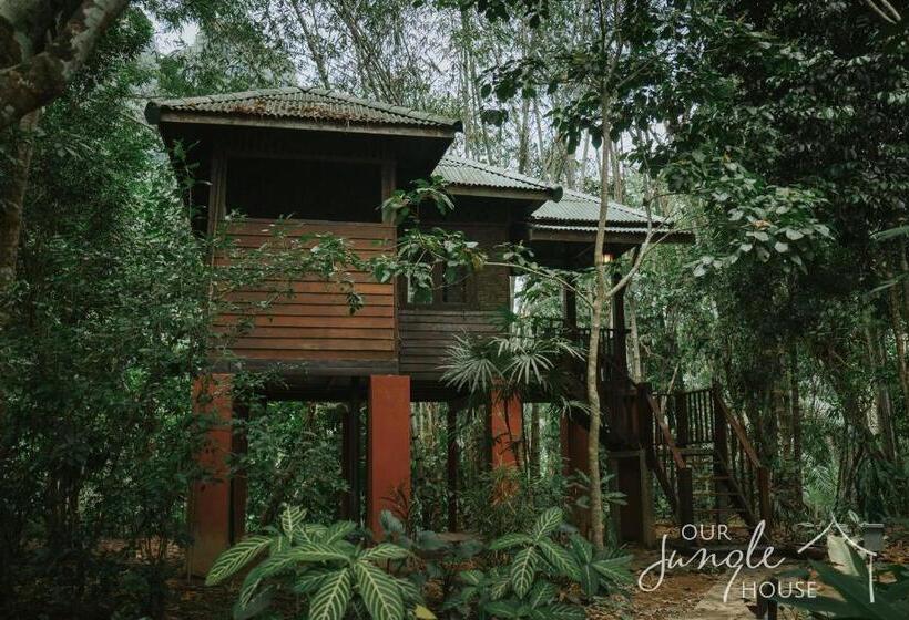 Бунгало Стандарт, Our Jungle House