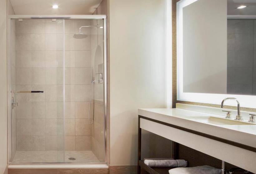 高级大房间, Hyatt Regency Frisco Dallas