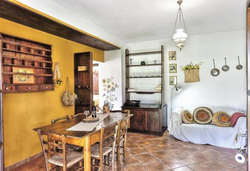 Апартаменты 1 Спальня Нижний Этаж, Appartamento Girasole   Agriturismo Le Selvole