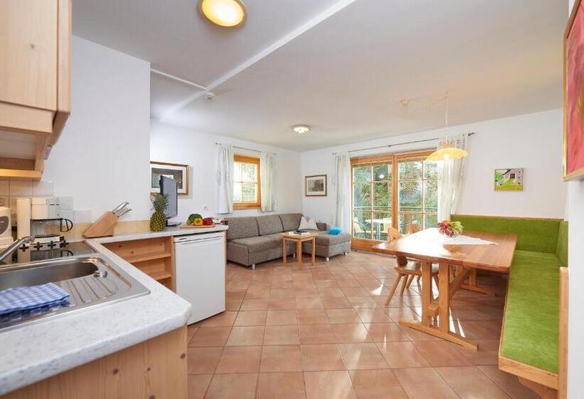 Апартаменты 1 Спальня с Балконом, Appartement Hotel Sonneck
