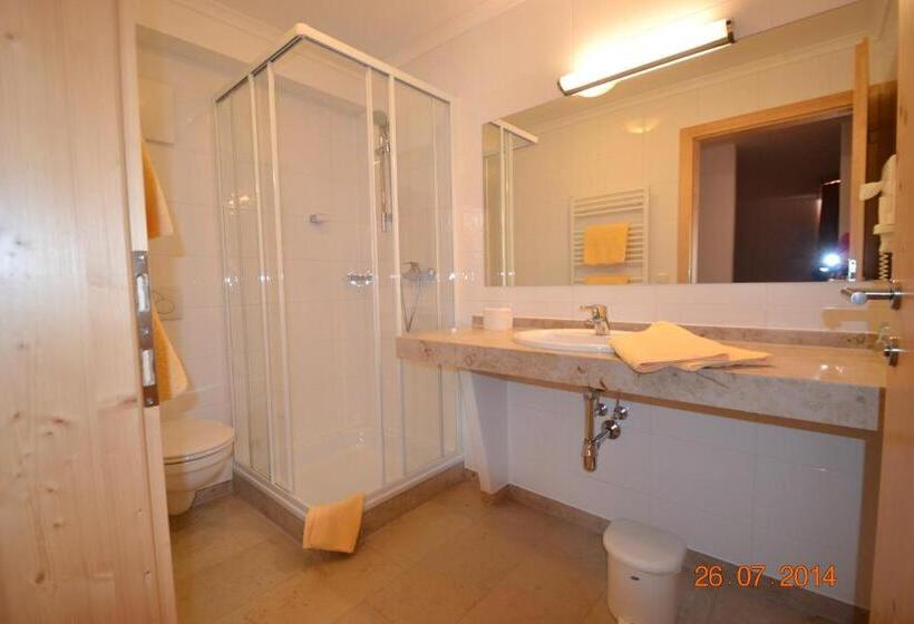 Апартаменты 1 Спальня, Appartement Hotel Sonneck