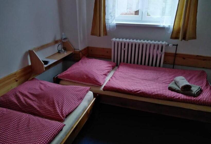 기본룸, Penzion Iris Krkonoše