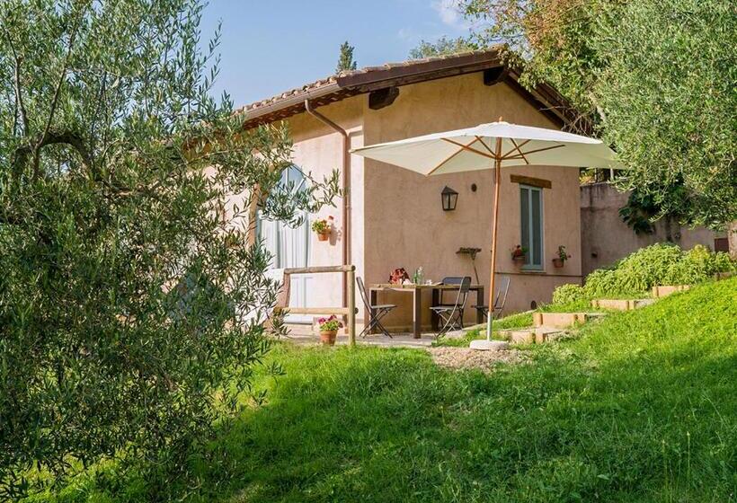 Апартаменты 1 Спальня с Террасой, Agriturismo La Fonte