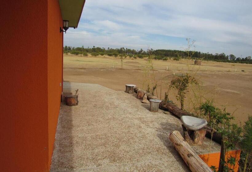 Suite with Terrace, Willy S Country Club Cauquenes