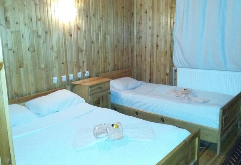 Номер Стандарт, Kackar Pension