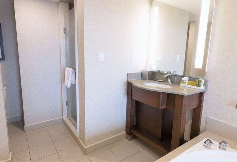シングルデラックスルーム, Hilton Niagara Falls/fallsview Hotel & Suites
