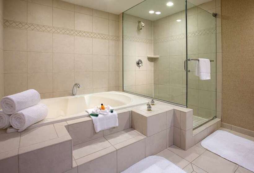 スタンダードルーム, Hilton Niagara Falls/fallsview Hotel & Suites