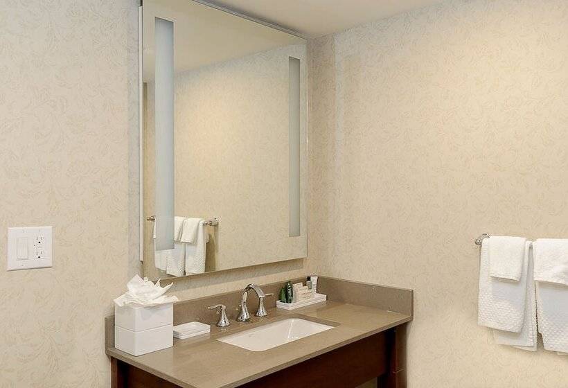 ダブルベッドのベーシックルーム, Hilton Niagara Falls/fallsview Hotel & Suites