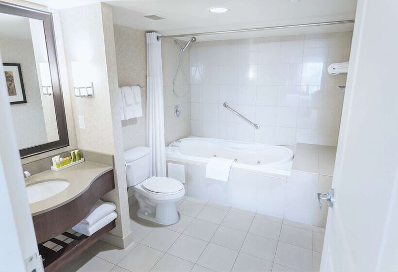 景色の見えるダブルベッドスタンダードルーム, Hilton Niagara Falls/fallsview Hotel & Suites