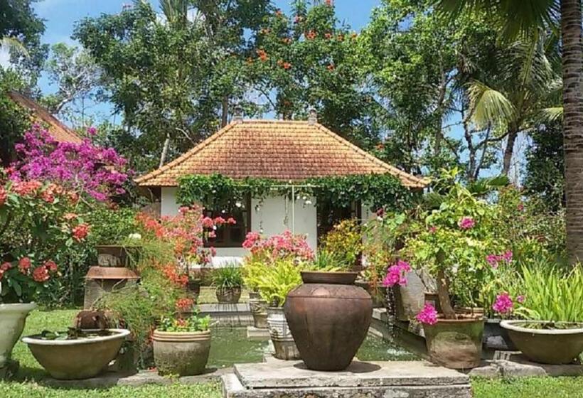 デラックススタジオ, Bukit Asri Lodge
