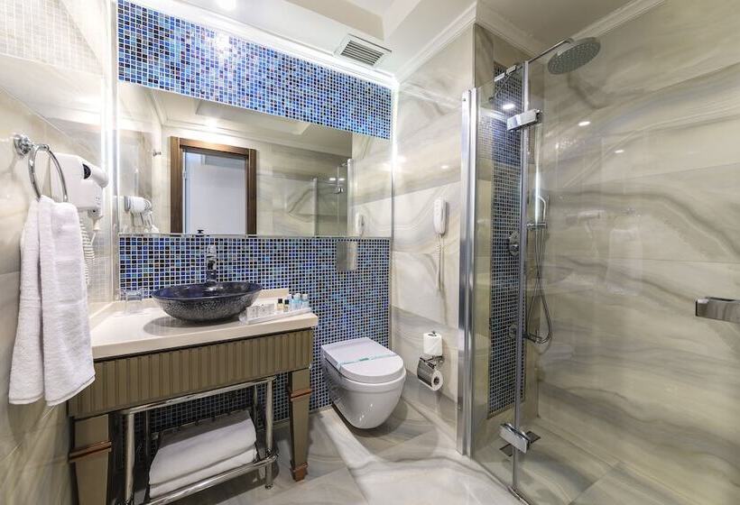 エコノミールーム, Grand Yavuz Hotel Sultanahmet