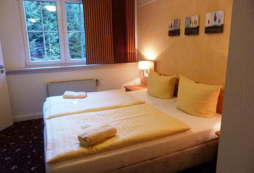 Номер Комфорт, Flair Waldhotel Mellestollen