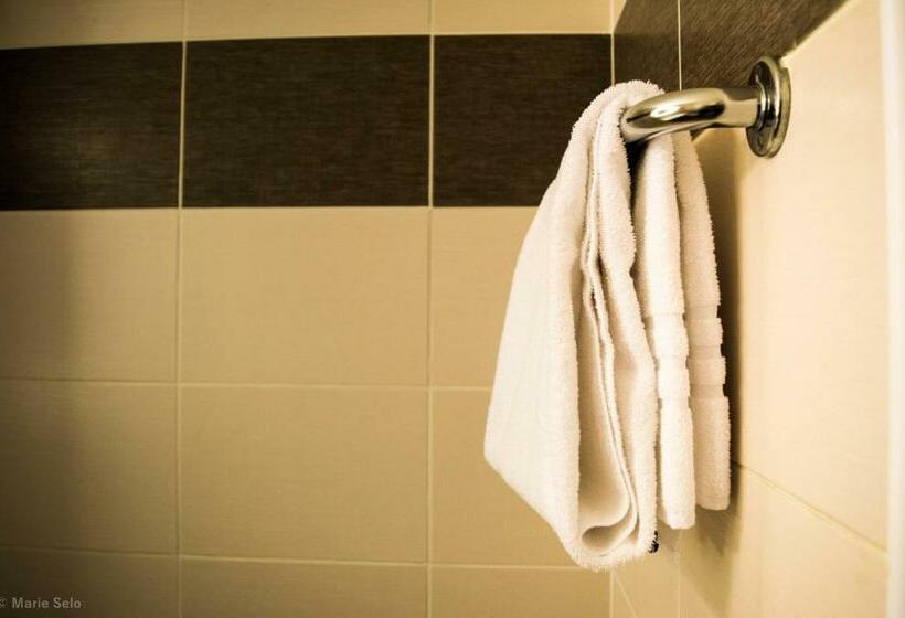 Номер Superior Одноместный, Best Western Auray Le Loch