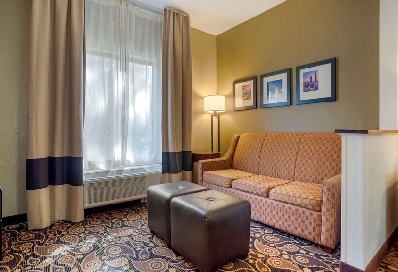Люкс, Comfort Suites Mobile East Bay