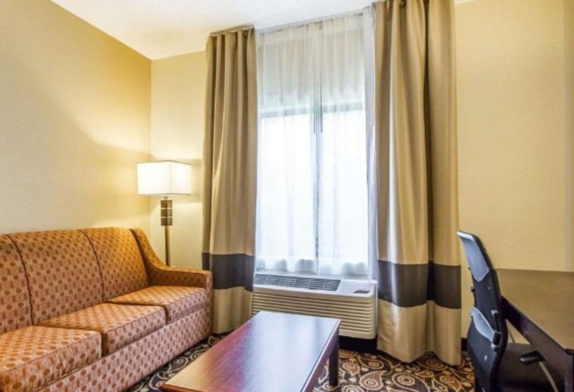 Люкс, Comfort Suites Mobile East Bay