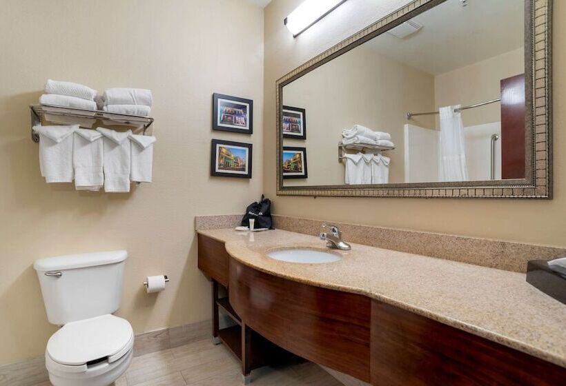 Люкс, Comfort Suites Mobile East Bay