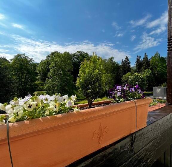 Апартаменты Superior 1 Спальня, Park Villa Zentral Am Mittelrhein   Zimmer & Apartments